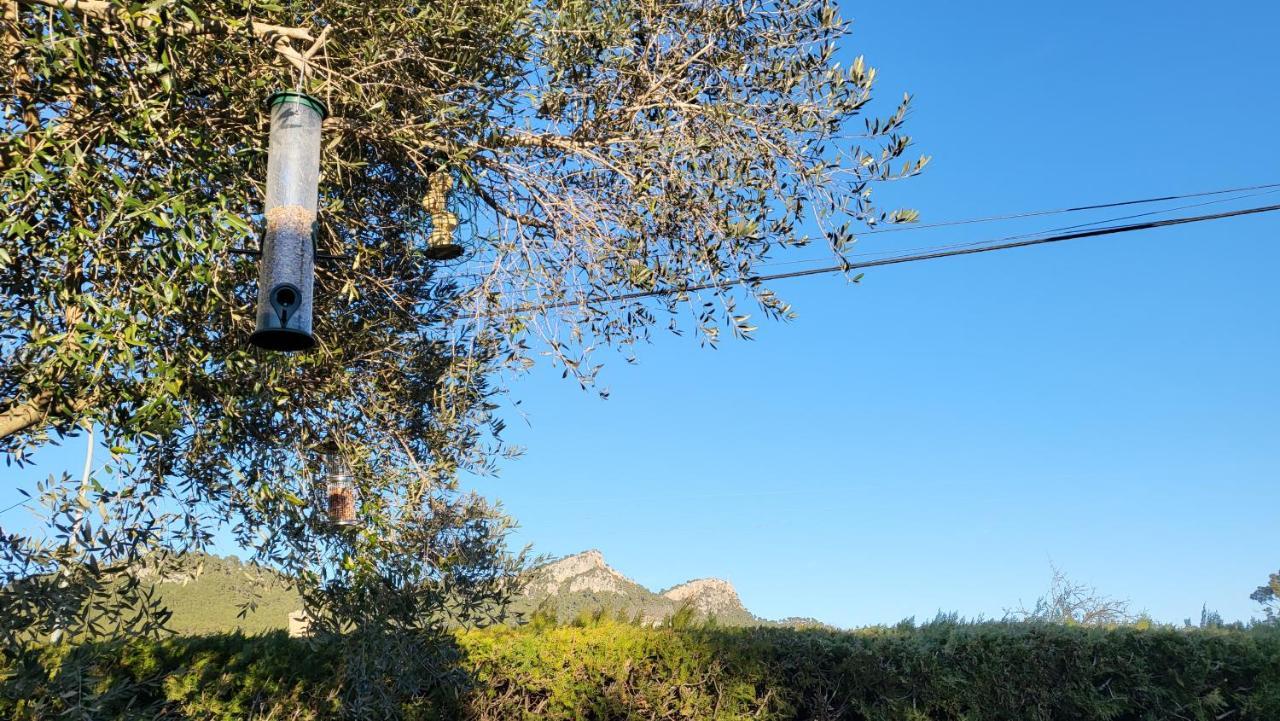 Acacies 25 Βίλα Torroella de Montgrí Εξωτερικό φωτογραφία
